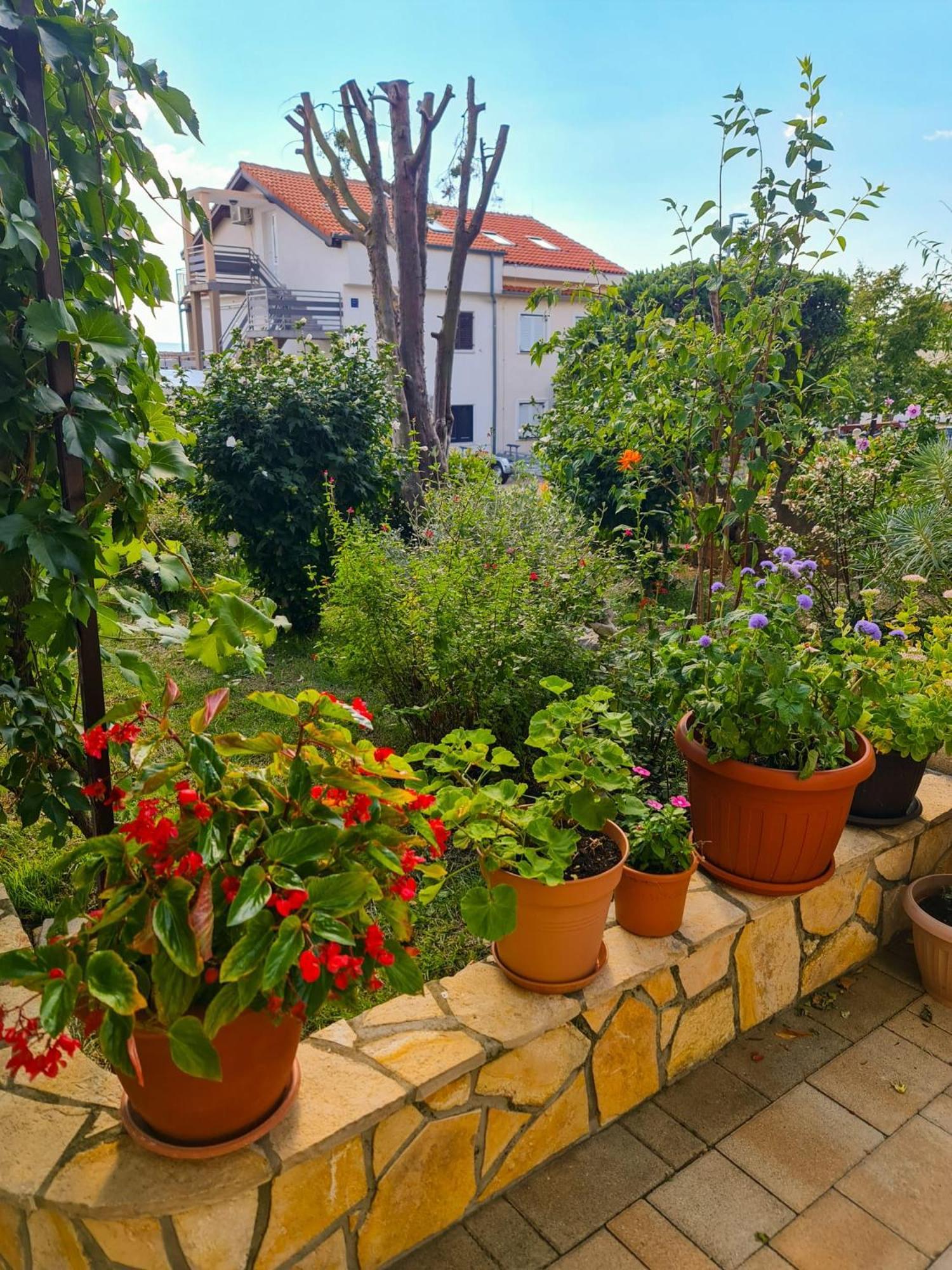 Apartments Marko Novi Vinodolski Zimmer foto